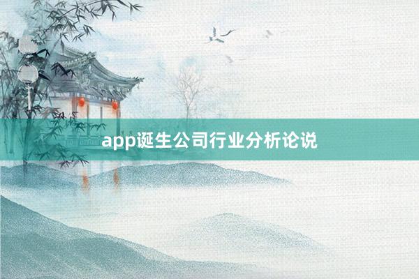app诞生公司行业分析论说