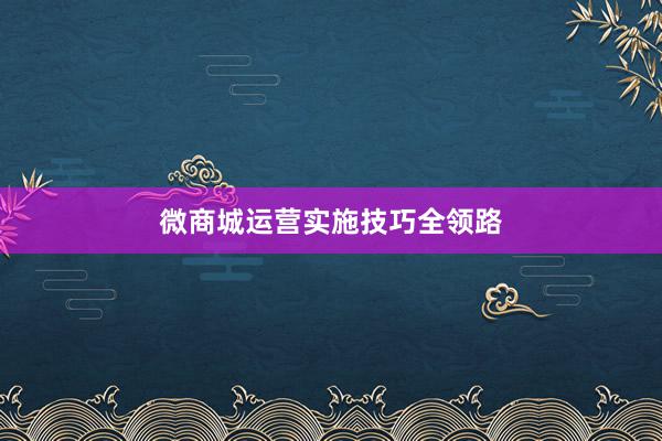 微商城运营实施技巧全领路